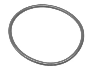 Victor Reinz O-Ring - 99970110050